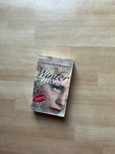 Wintermond von tanja heitmann - wintermond,